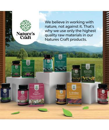 Brain Boosting Natural Supplement | Green Tea Extract and DMAE | 60 Capsules by Natures Craft - Buy Online on GoSupps.com