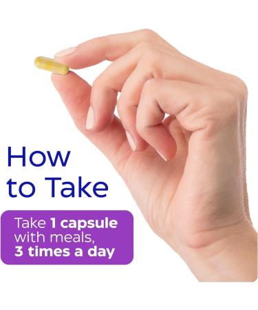 Enzymedica, Berberine Supplement HCl, 510mg, for Overall Health and Wellness, Vegan, No Artificial fillers, Clean Label, 120 Count 120 Count (Pack of 1) - Buy Online on GoSupps.com