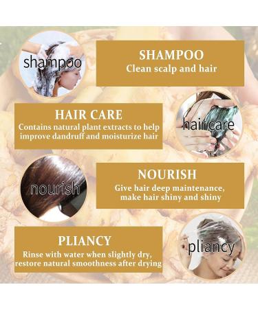 2 Pcs Organic Ginger Hair Growth Shampoo Bars for Hair Regrowth - Natural Ginger Soap for Stronger, Healthier Hair - Buy Online on GoSupps.com