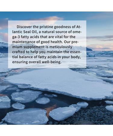 Vital Life Atlantic Seal Oil 500mg * 300 Softgels - Natural Rich Source of Omega-3 Fatty Acids & DPA/DHA/EPA for Optimal Health - Better Absorption - Boost Brain Power - Maintain Cardiovascular Health - Lower Cholesterol & Triglyceride - Anti-Inflammation - Buy Online on GoSupps.com