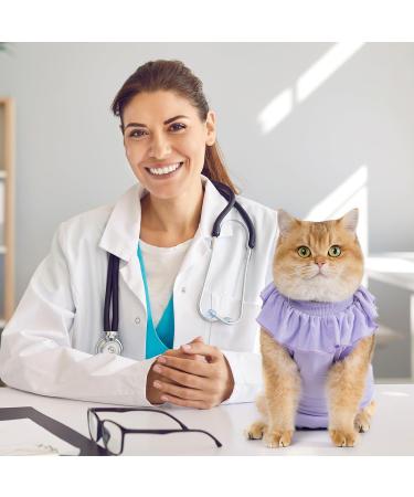 Avont Katzenbody: Recovery Suit for Cats - Post-Op Protection for Castration Spay & Abdominal Wounds - Lilac Large - Buy Online on GoSupps.com