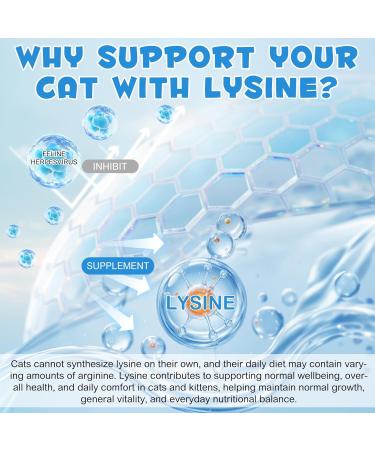 Lysine for Cats & Kittens - L-Lysine Supplement for Eye Function & Respiratory Health Cat Lysine Drops for Respiratory Sneezing Runny Nose Immune Support Roast Chicken Flavor (60mL) - Buy Online on GoSupps.com