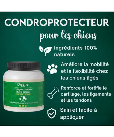 DISANE Marine Collagen Dogs | Natural Food Supplement for Dog Joint Care | Protects and Restores Bones and Joint Tissues | Chondroprotectors for Dogs - Buy Online on GoSupps.com