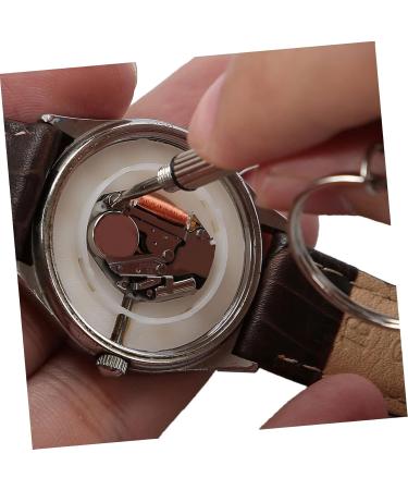 Doitool Glasses Repair Screw Set | Mini Tool Kit for Sunglasses & Jewelry | Stainless Steel Perfect for Glasses Restoration - Buy Online on GoSupps.com