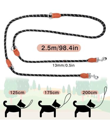 Tealed 2.5m Double-Leash for Large & Medium Dogs - Premium Dog Leash for Comfortable Walks | International Shipping Available - Buy Online on GoSupps.com