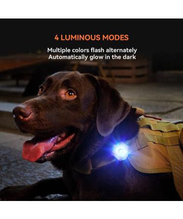 LaRoo Safety LED-Flashing Light for Dogs Cats LED-Light Pendant Keyring Clip on Dog Collar Charms Blinker Light Waterproof Safety Light for Walking the Dog and Outdoor Sports rechargable Purple-1 - Buy Online on GoSupps.com