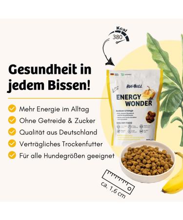 BugBell 800g High Energy Dry Dog Food Grain Free Insect Protein Banana Pumpkin Chia Salmon Oil and L-Carnitine Supports Active Dog Life  - Buy Online on GoSupps.com