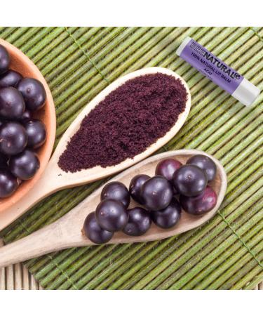 Buy Bee Natural Lip Balm Acai Berry - Organic Moisturizing Lip Care for Soft Lips | 1 Pack - Buy Online on GoSupps.com