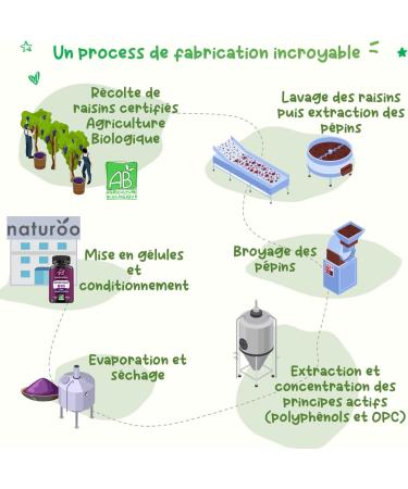 Antioxydant (120 g lules - 2 4 mois) BlO | 70% d'OPC | Extrait de P pins de Raisin | Premium & Vegan | Garanti sans produits chimiques | Compl ment alimentaire Polyph nols | anti oxydant puissant - Buy Online on GoSupps.com