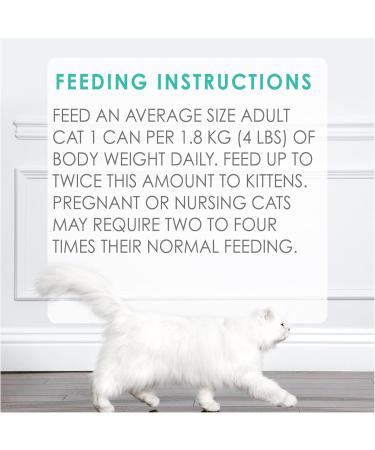 Fancy Feast Flaked Wet Cat Food Trout Feast - 85 g Can (24 Pack) - Buy Online on GoSupps.com