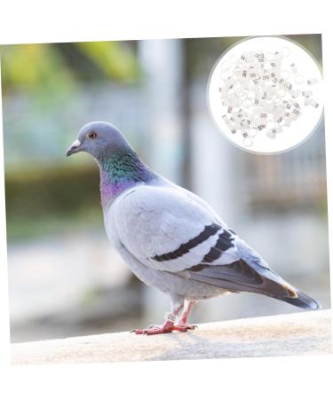 Yardwe 300 Pcs Pigeon Anklet Chicken Drumsticks Tag Plastic Foot Ring for Pigeon Poultry Pen Parrot Baby 1.3X1.3CMx3pcs Whitex3pcs - Buy Online on GoSupps.com