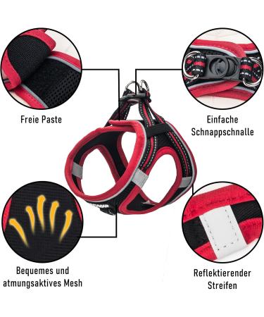 UVTQSSP Dog Harness for Small Dogs with Leash - Padded Puppy Dishes Black & Red XS/XXS - Buy Online on GoSupps.com