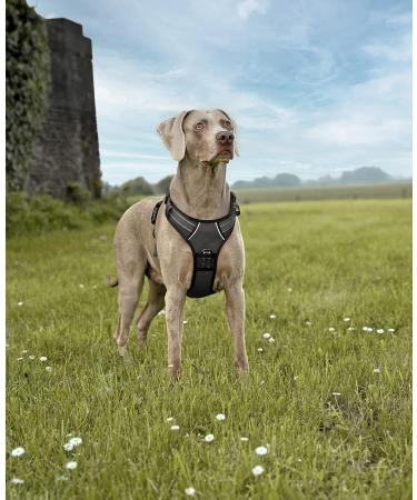 Lionto XL Black Dog Harness - Padded Anti-Pull Reflective Safety & Adjustable for Large Dogs - International Shipping Available - Buy Online on GoSupps.com