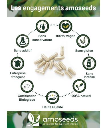 Garcinia Cambogia Organic | Fast & Effective | High Concentration 60% HCA | 2000mg/Day | Satiety Line | Top Quality - Buy Online on GoSupps.com