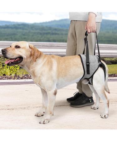 Dog Lifting Harness Dog Support Harness for Back Legs Dog Harness Medium Dog Sling for Back Legs with Lift Handle Adjustable Puppy Harness for Elderly Disabled Joint Injuries Canine Portable(Grey) - Buy Online on GoSupps.com