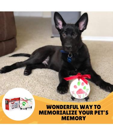 LOOBANI Dog Paw Print Ornaments Kit - Pet Footprint Memorial Keepsake for Puppy & Cats Owners - Light Clay, Deluxe Tool Set - 3 Packs - Buy Online on GoSupps.com