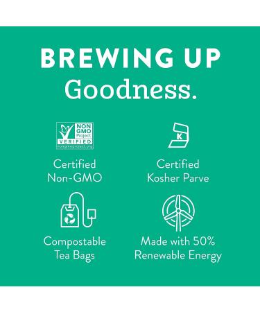 Stash Moroccan Mint Green Tea - Caffeinated, Non-GMO, 120 Bags - Pack of 6 - Buy Online on GoSupps.com