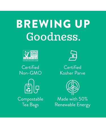 Stash Tea Decaf Premium Green Tea - Non-GMO, 108 Bags, 18 Count (Pack of 6) - No Artificial Ingredients - Buy Online on GoSupps.com