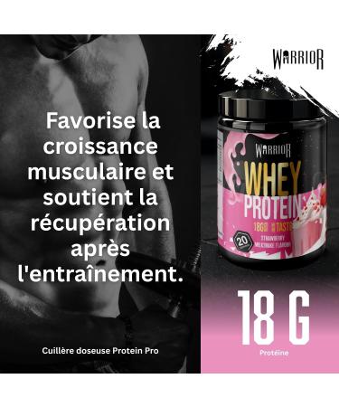 Poudre prot in e Warrior Whey 500 g (jusqu 36 g par portion) - Go t d licieux et riche en acides amin s - 20 portions (Milkshake la fraise) Whey Prot ine Fraise 500g - Buy Online on GoSupps.com