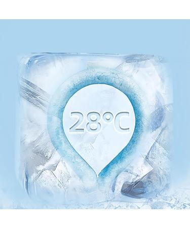 Dr Chilly Ice Ring tubo de enfriamiento del cuello 2024 Ice Ring Neck Cooler se congela en agua del grifo reutilizable Ice Neck Ring Productos de enfriamiento corporal port tiles para (1 Uds. Blanco) 1 Uds. Blanco - Buy Online on GoSupps.com