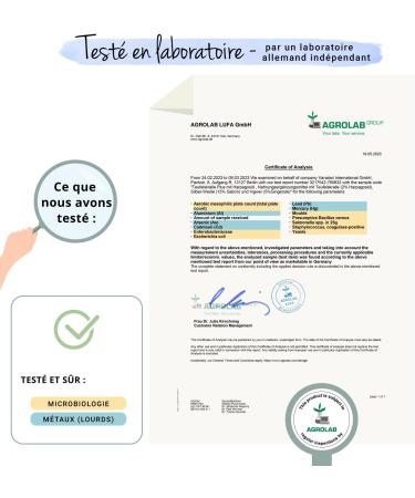 Harpagophytum Plus Vegavero | With Devil's Claw Ginger & White Willow | No Additives | Joint Bread | With Harpagosides Gingerols & Salicin | 120 Capsules | VEGAN - Buy Online on GoSupps.com