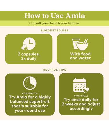 ORGANIC INDIA Amla Capsules Organic - Indian Gooseberry Herbal Vitamin Supplement Amla Supplement Immune Support Vegan Gluten-Free Ayurvedic Antioxidant Non-GMO - 60 Capsules 60 Count (Pack of 1) - Buy Online on GoSupps.com