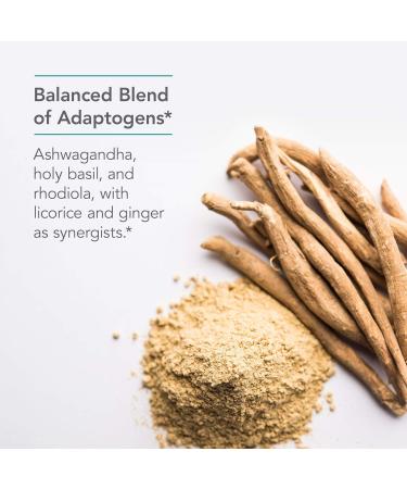 Nutricology Botanical Adapt - Stress Support Adaptogens Supplement HPA Ashwagandha Rhodiola and Holy Basil Cortisol Manager - 60 Count - Buy Online on GoSupps.com