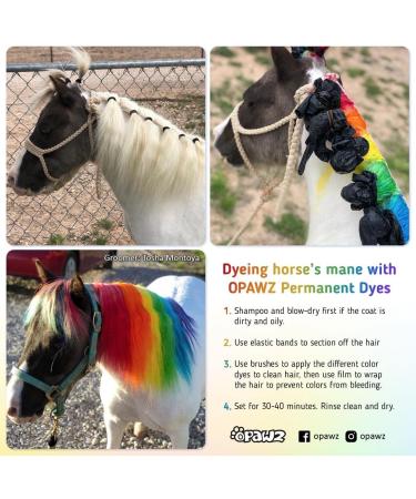 Opawz Permanent Pet Hair Dye - Grooming Salon Safe, Lasts 20+ Washes, Bright Hot Red Color for Dogs & Horses - Buy Online on GoSupps.com