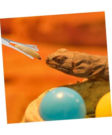 Mipcase Reptile Feeding Clip Leopard Gecko Supplies Reptile Catching Stainless Steel Silver - Buy Online on GoSupps.com