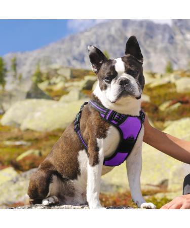 Eagloo Medium Dog Harness - Adjustable Anti-Train Harness with Reflective Strips for Walking & Jogging | Durable Purple Design (1 Pack) - Buy Online on GoSupps.com