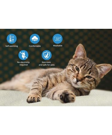 NICREW Self-Heating Pet Pad | Convertible Cuddle Bed for Cats and Dogs | Machine Washable Electric-Free Heating Mat | Thermal Dog Blanket - White, Medium 25 x 19 - Buy Online on GoSupps.com