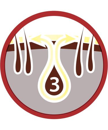 Purina One Mini Delicate Salmon With Rice - 1.5kg - Dry Food for Small Dogs with Sensitive Digestion - Pack of 6*1.5 KG - Buy Online on GoSupps.com