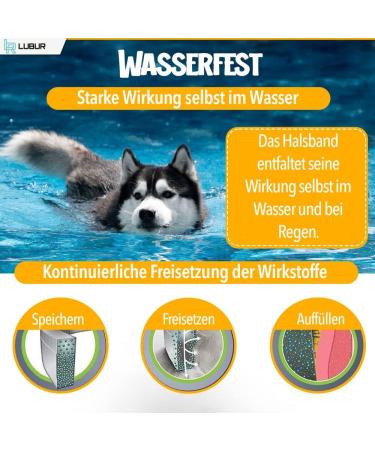 Lubur Flea & Tick Collar for Dogs & Cats - Natural 8-Month Protection Against Fleas & Ticks - Black Color - Buy Online on GoSupps.com