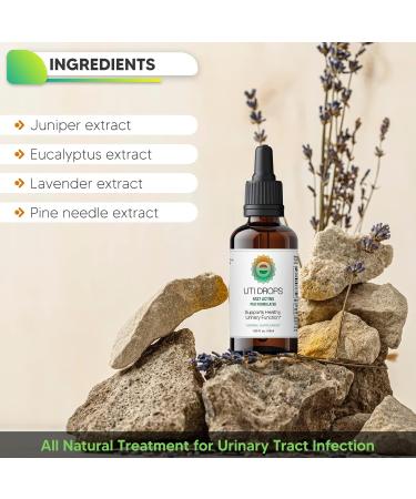Natural UTI E-Drops: Fast-Acting Herbal Support for Bladder, Kidney & Urinary Tract Health - Buy Online on GoSupps.com