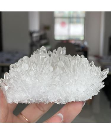 Natural Crystal Rough Natural Clear Quartz Crystal Cluster Minerals Reiki Stone Home Furnishing Decoration Decoration Natural Luster (Size : 300-400g) - Buy Online on GoSupps.com