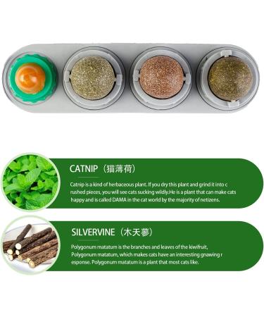 Bisogoon Catnip Wall Ball Toy - Natural Interactive Licking Treats for Cats - Edible Balls - Kitty Catnip Wall Toy (Blue) - Buy Online on GoSupps.com