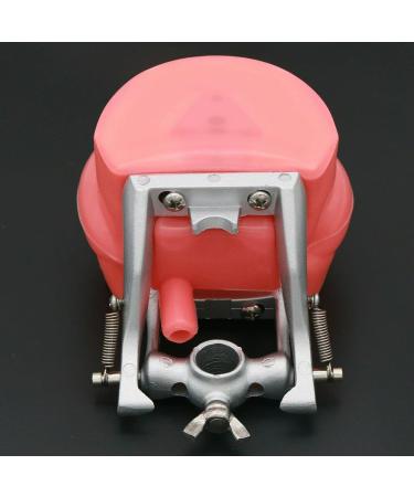 Dental Teeth Model Adult Denture Model with 28/32 Teeth Detachable Teeth Teeth Model Suitable for Research and Teaching for Dental Students Patient Education Display (M8012 + Simulation Cheek) - Buy Online on GoSupps.com