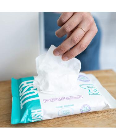 Nice 'N Clean SecureFLUSH Adult Flushable Wipes with Aloe & Vitamin E | 42 Count x 6 Packs - Buy Online on GoSupps.com