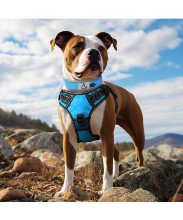 Joytale Extra Large Dog Collar - Softly Padded Neoprene Nylon Reflective Baby Blue XL (1 Pack) - Buy Online on GoSupps.com