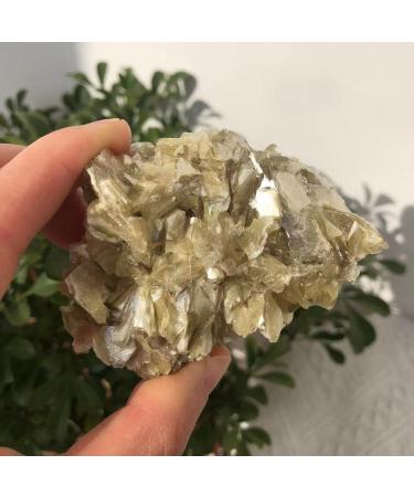 Natural Phlogopite Flake Raw Specimen Stone Natural Decoration Ornaments Collectible Gifts Can be Used for (Size : 320-400g) JZIGTDEM (Size : 320-400g) - Buy Online on GoSupps.com