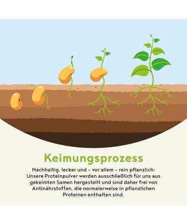 Morning Fuel Vanilla Matcha Shake - Nutrient-Rich Protein Powder with Sprouted Seeds Quinoa & Almonds for Healthy Breakfast | 600g - Buy Online on GoSupps.com