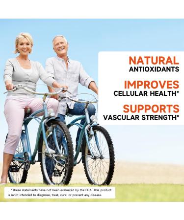 Temimar Rutin 500mg Supplement, Flavonoids Supplements from Sophora Japonica, Supports Vascular Health & Antioxidents, Non-GMO, Gluten-Free, Made in USA, 180 Vegan Capsules - Buy Online on GoSupps.com