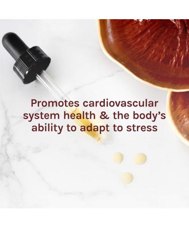 Host Defense Reishi Extract 2 fl oz - Mushroom Supplement for General Wellness - Pack of 1 - Buy Online on GoSupps.com