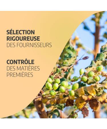 Boswellia 270 mg - 200 capsules - Buy Online on GoSupps.com