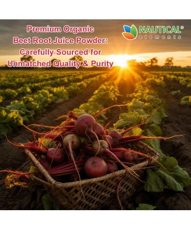 Beet Juice Powder Organic - Cold Pressed - 20:1 Concentrate - Concentrated Beet Root Powder - Nitric Oxide - Circulation Support - 57 Servings of Beet Root Supplement - 7oz 7 Ounce (Pack of 1) - Buy Online on GoSupps.com