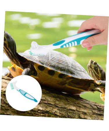 Ukcococo Turtle Cleaning Brush - Eco-Friendly Bristle Washer for Turtles | International Shipping Available - Buy Online on GoSupps.com