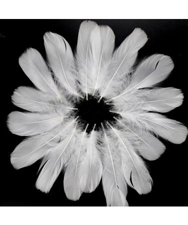 Coceca 500pcs White Feathers - Ideal for DIY Craft, Wedding & Party Decor - Buy Online on GoSupps.com
