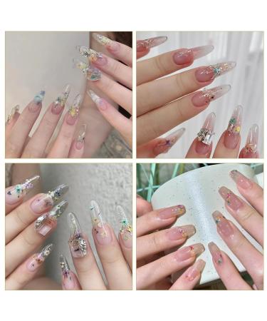 12 Boxes Dried Flowers for Nail Art | Nail Decorations & Flower Kit for Stunning Nail Designs - Buy Online on GoSupps.com