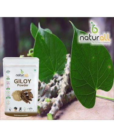 NENA Pack of 2 Tulsi Powder Giloy Powder (200 GM Each) Combo Pack 400 GM - Buy Online on GoSupps.com