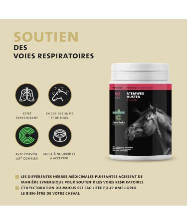 Peticare Cough Powder for Horses | Airways & Colds Support | Promotes Mucus Dissolution | Natural Herbal Powder Formula | No - Buy Online on GoSupps.com